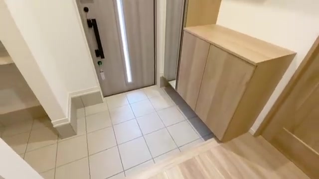 28坪の家の玄関（室内・外観の様子）