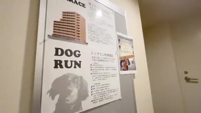 江東区の1DKのドッグラン（室内・外観の様子）
