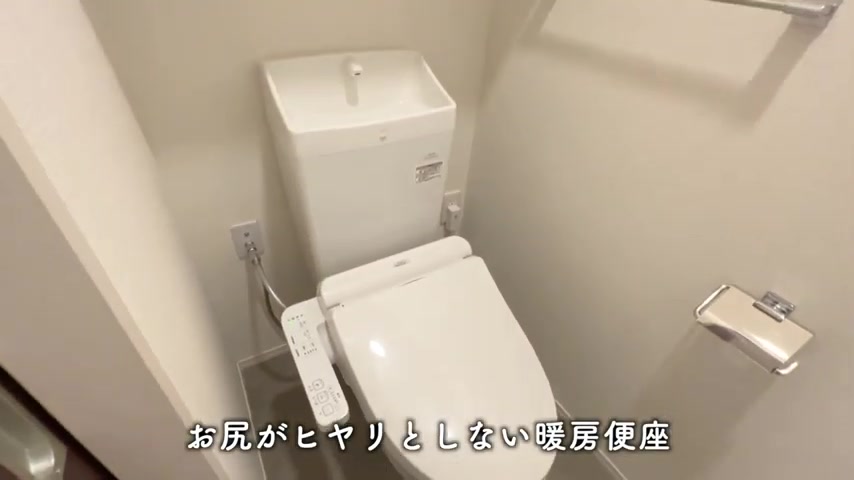 2LDKで二人暮らしのトイレ(室内・外観の様子)