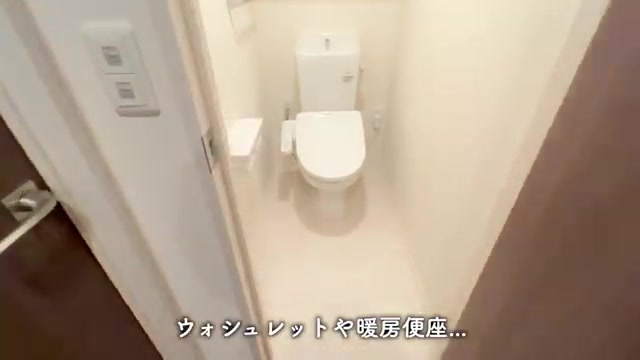 2LDKの賃貸アパート内見のトイレ（室内・外観の様子）