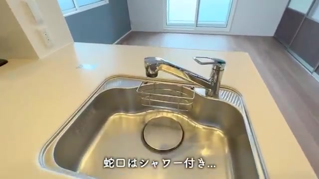 2LDKの賃貸アパート内見のキッチン（室内・外観の様子）