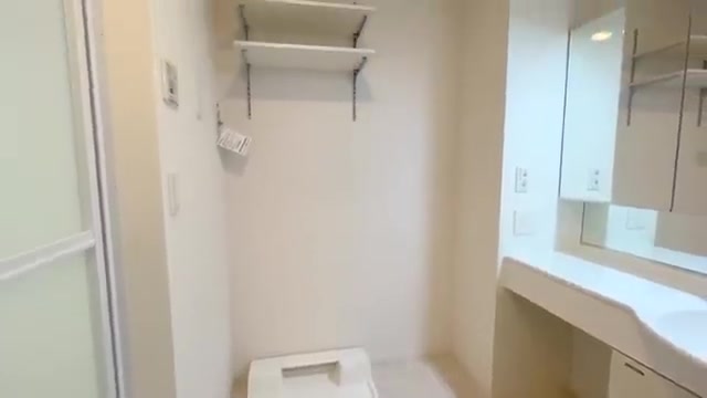2LDKの賃貸アパート内見の洗面所（室内・外観の様子）