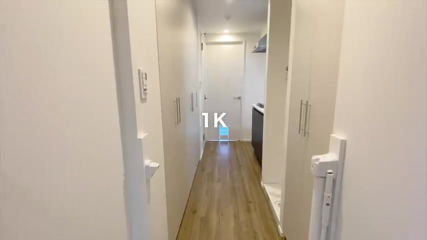 イヌネコヒルズの302号室/1K（室内・外観の様子）