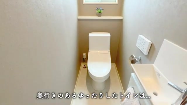 3LDK/30坪の家のトイレ（室内・外観の様子）