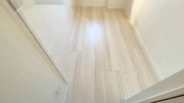 賃貸マンションの内見の洋室4.5帖（室内・外観の様子）