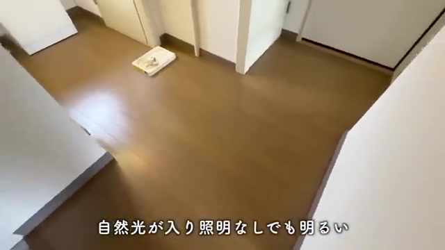 船橋市の3DKの洗面室（室内・外観の様子）