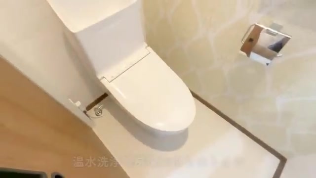 4LDKで30坪のトイレ（室内・外観の様子）