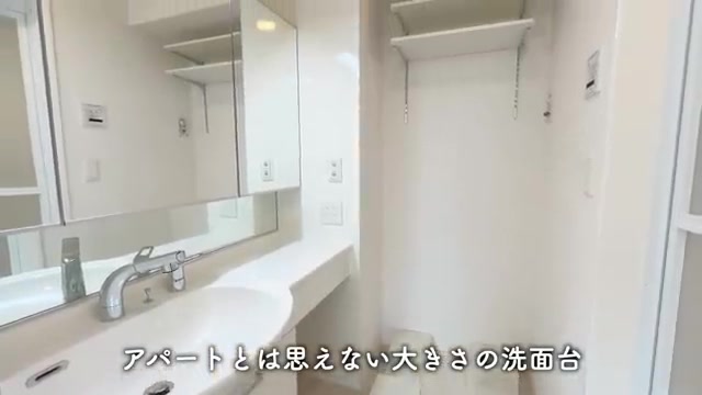 広島市中区の1LDKの洗面所(室内・外観の様子)
