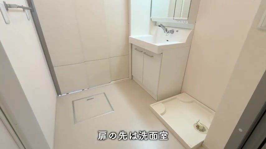 広島市中区の2LDKの洗面室（室内・外観の様子）