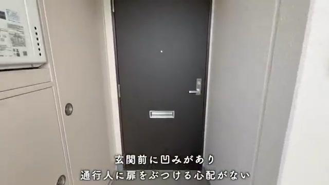 所沢市の2LDKの玄関(室内・外観の様子)