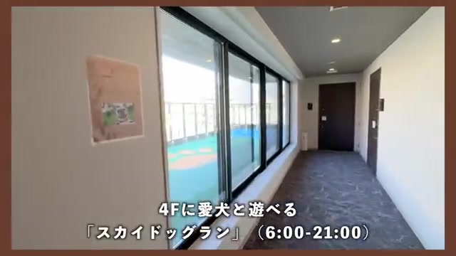 練馬区の1Kのスカイドッグラン ・遊具（室内・外観の様子）