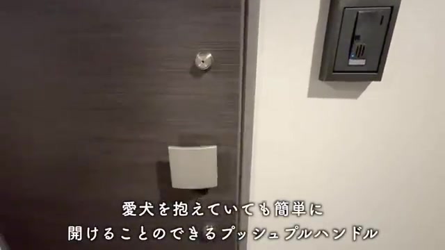 練馬区の1Kの玄関・リードフック（室内・外観の様子）