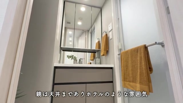 千葉市中央区の1LDKの洗面室（室内・外観の様子）