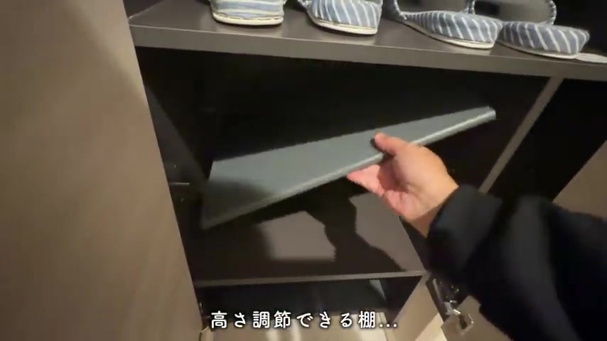 D-ROOM松尾鈴の玄関シューズボックス(室内・外観の様子)