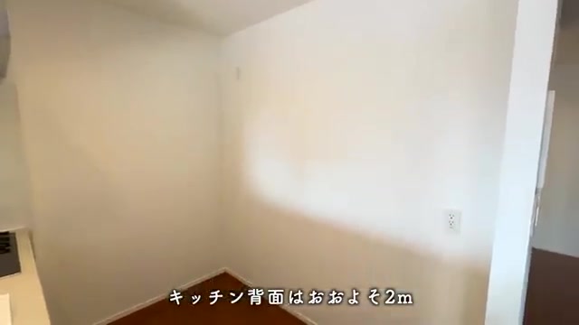福岡市中央区の2LDKのリビングダイニング・キッチン(室内・外観の様子)