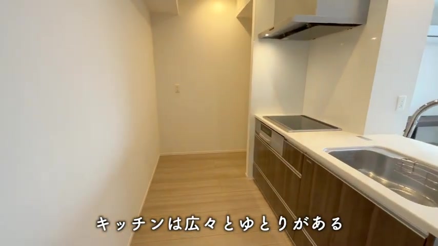 広島市中区の1LDKのキッチン（室内・外観の様子）
