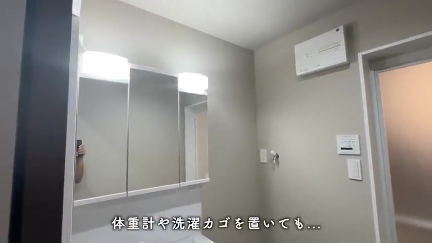 IREライフの洗面室(室内・外観の様子)