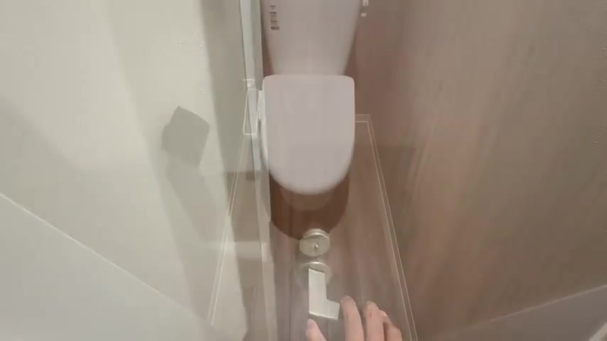 IREライフのトイレ(室内・外観の様子)