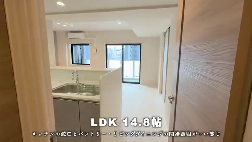IS二十人町のリビングから生活感を隠す立ち上がり付きのキッチン（室内・外観の様子）