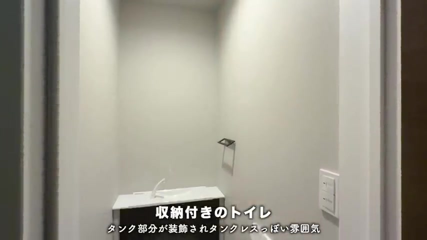手洗い・温水洗浄便座付きトイレの様子