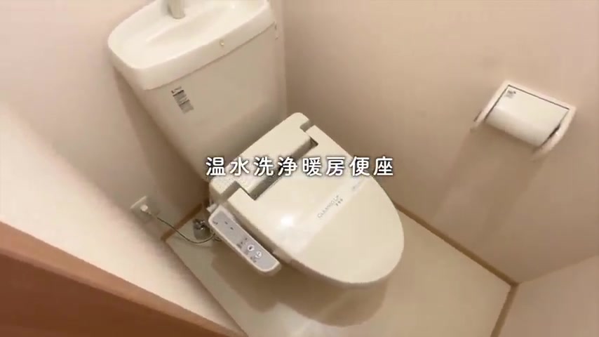 広島市南区の1LDKのトイレ(室内・外観の様子)