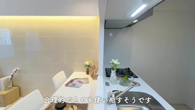大阪の1LDKのキッチンカウンター（室内・外観の様子）