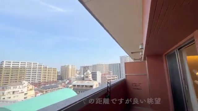 大阪の1LDKのバルコニー（室内・外観の様子）