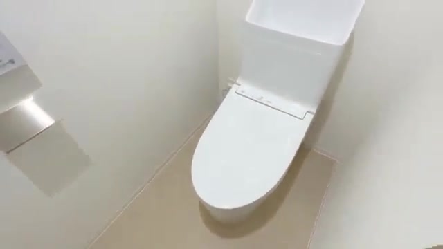 一人暮らしOK/賃貸マンション内見のトイレ（室内・外観の様子）