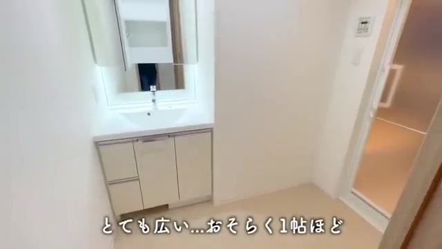 一人暮らしOK/賃貸マンション内見の洗面所（室内・外観の様子）