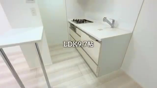 一人暮らしOK/賃貸マンション内見のキッチン（室内・外観の様子）