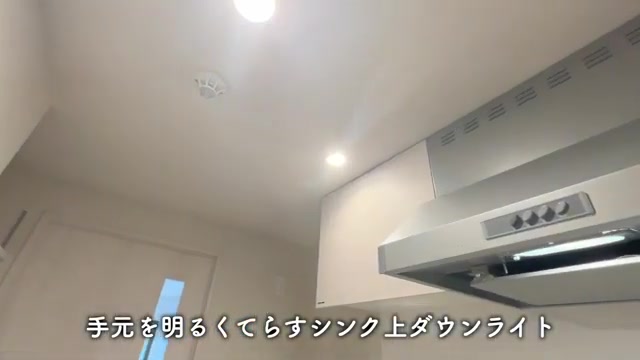 横浜市南区の1Kのキッチン（室内・外観の様子）