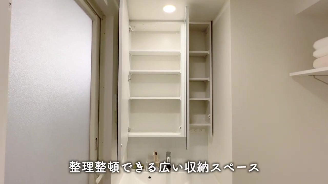 RJRプレシア江坂駅前の洗面室（室内・外観の様子）