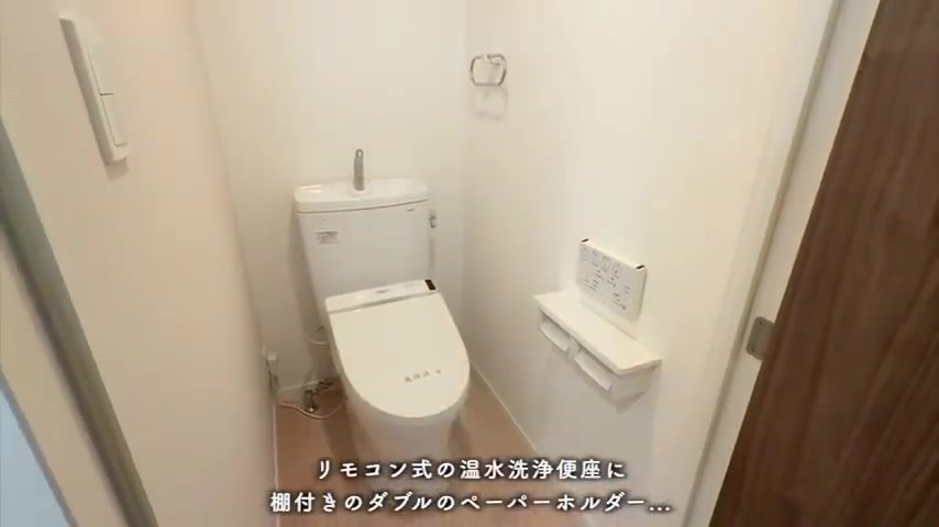 棚付きダブルペーパーホルダーとダウンライトのトイレの様子