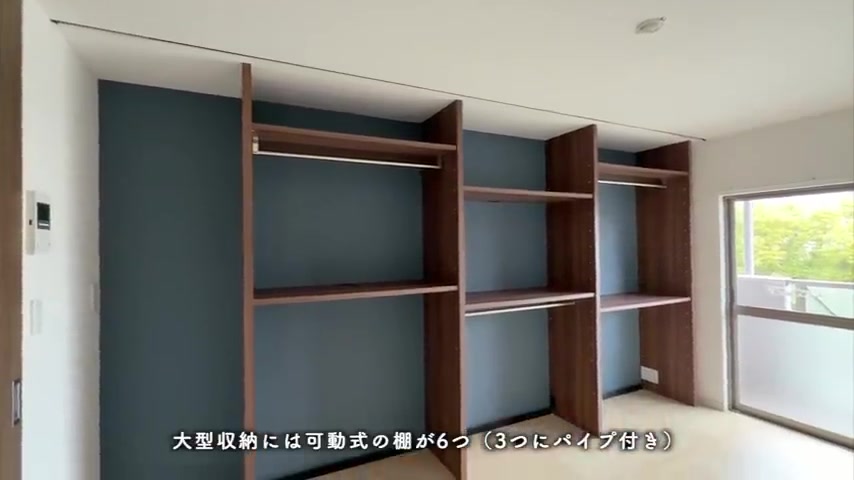 可動式棚6段と配線穴設計の見せる収納ウォークインクローゼットの様子