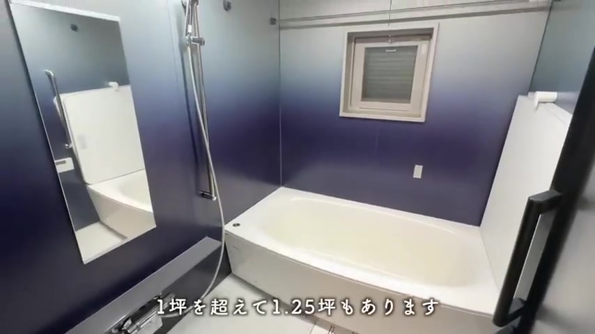 RJRプレシア別府駅前の浴室(室内・外観の様子)