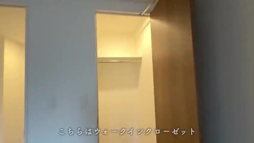 RJRプレシア別府駅前のウォークインクローゼット(室内・外観の様子)