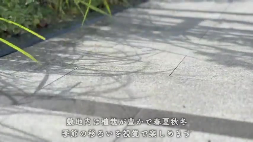 RJRプレシア熊本駅前の外観・共用部（室内・外観の様子）