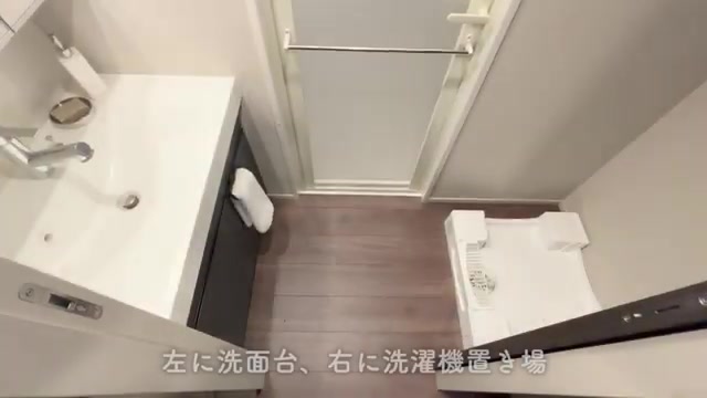 RJRプレシア江坂駅前の洗面室(室内・外観の様子)