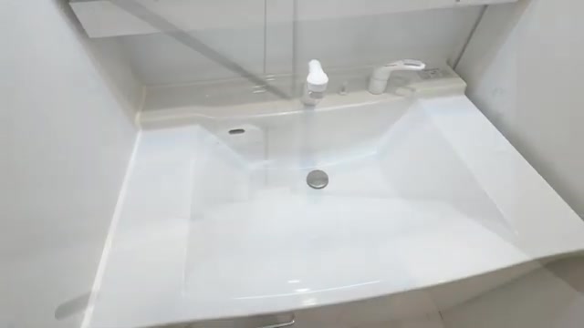 RJRプレシア高砂の玄関・洗面室（室内・外観の様子）