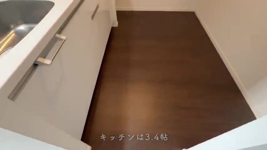 RJRプレシア天神サウスのキッチン 3.4帖（室内・外観の様子）