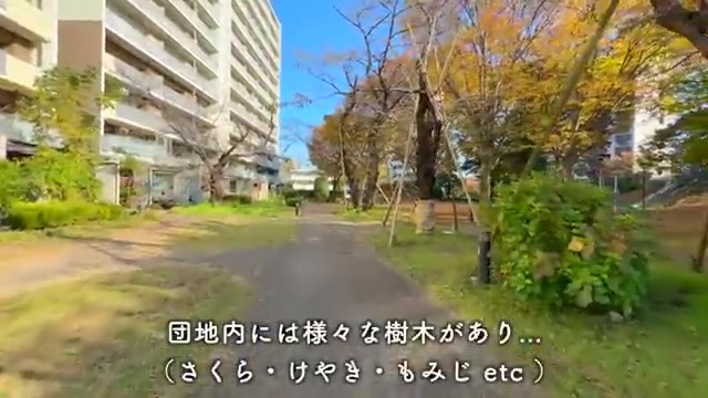西東京市の2DKの丘のある公園（室内・外観の様子）