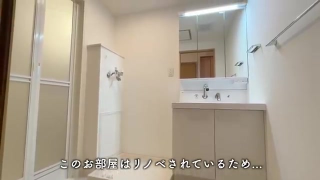西東京市の2DKの洗面室（室内・外観の様子）
