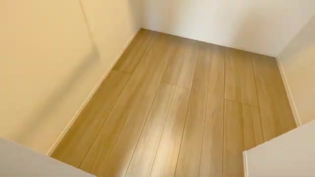 広島市の1LDKのウォークインクローゼット(室内・外観の様子)
