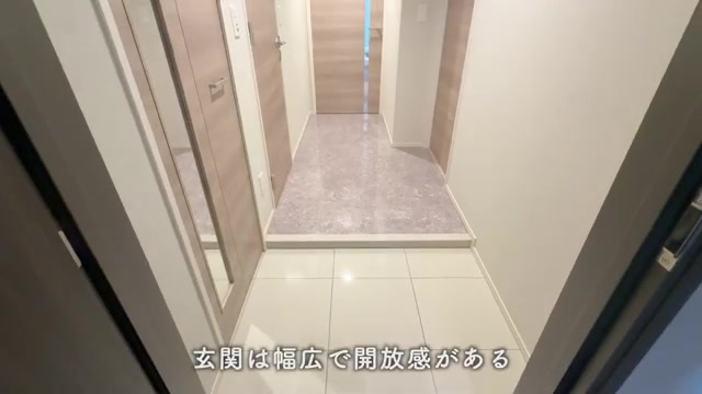 大阪市中央区の2LDKの玄関(室内・外観の様子)