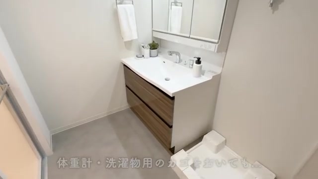 大阪市中央区の2LDKの洗面室(室内・外観の様子)