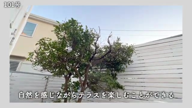 The Terrace Shonan Tsujidoの1F バルコニー（東側角部屋）（室内・外観の様子）
