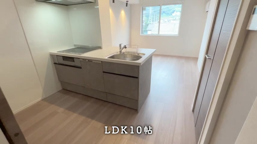 広島市安佐南区の1LDKのキッチン(室内・外観の様子)