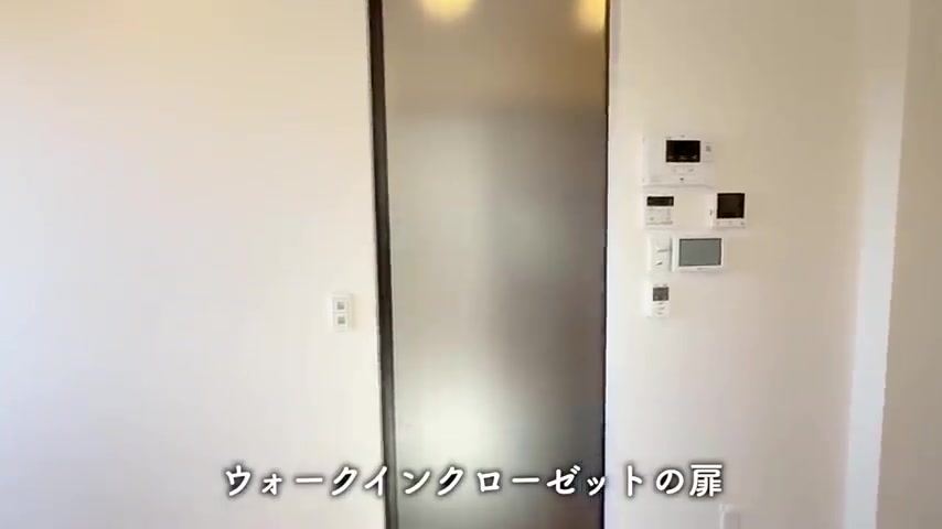 広島市西区の1LDKのクローゼット（室内・外観の様子）
