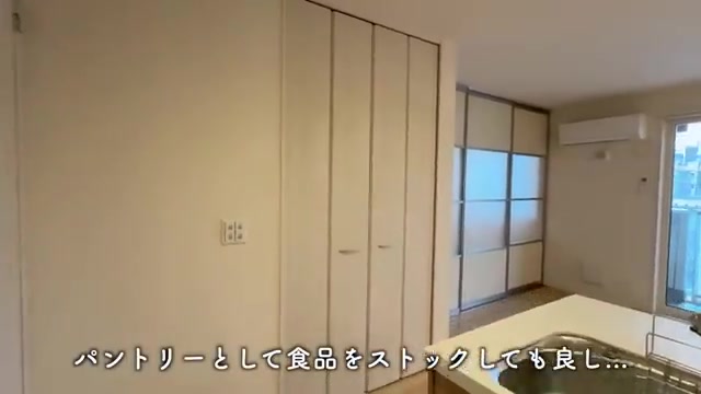 広島市中区の2LDKのパントリー（室内・外観の様子）