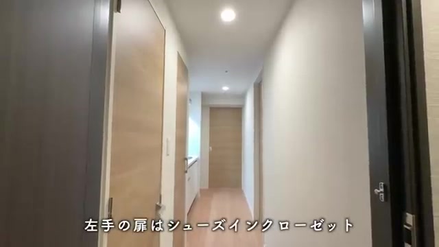 福岡市南区の1LDKの玄関・シューズインクローゼット（室内・外観の様子）